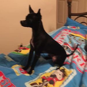 Meet your Posher, Jennifer